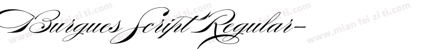 Burgues Script Regular字体转换